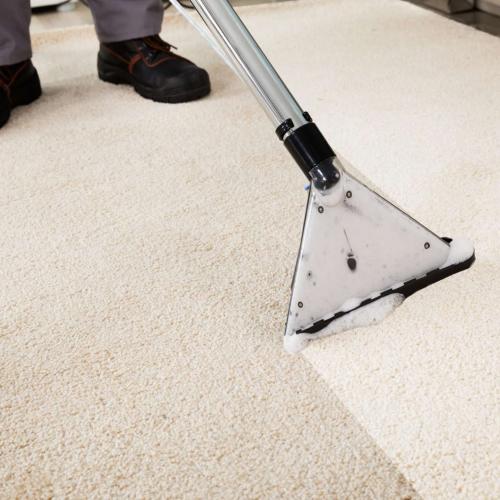 Carpet